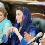 One word for MaryamNawaz viral video twitter