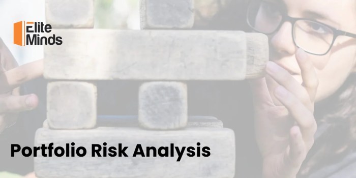 Risk matrix ppm opportunity acuity